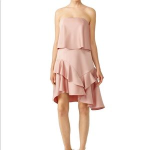 Halston Heritage Blush Dress